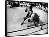 Jack Dempsey (1895-1983)-null-Framed Stretched Canvas