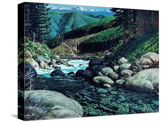 Stretched Canvas Print, , large