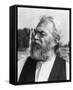 Jack Elam-null-Framed Stretched Canvas