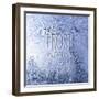 Jack Frost Nipping-Kimberly Glover-Framed Giclee Print