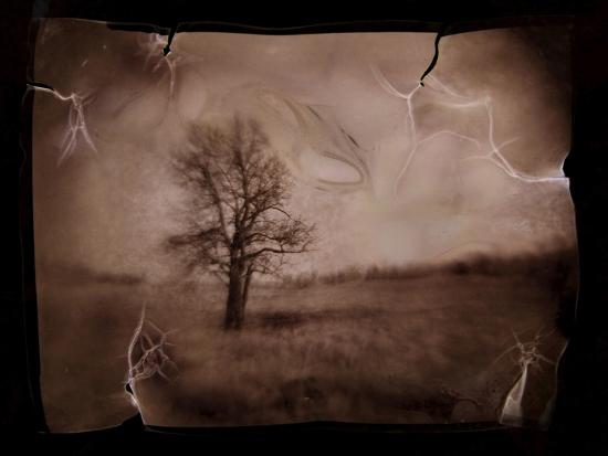 Premium Photographic Print, , large