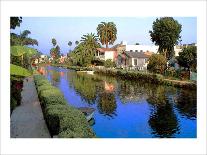 Palm Trees over Canal-Jack Heinz-Giclee Print