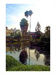 Palm Trees over Canal-Jack Heinz-Giclee Print