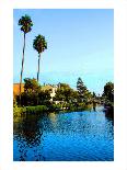 Palm Trees over Canal-Jack Heinz-Giclee Print