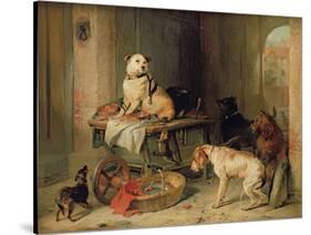 Jack in Office, c.1833-Edwin Henry Landseer-Stretched Canvas