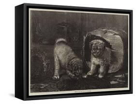 Jack in the Box-Horatio Henry Couldery-Framed Stretched Canvas