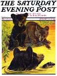 "Bear and Cubs in River," Saturday Evening Post Cover, August 25, 1934-Jack Murray-Giclee Print