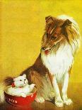 Collie and Kitten - Child Life-Jack Murray-Giclee Print