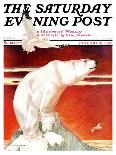 "Polar Bear on Iceberg," Saturday Evening Post Cover, January 14, 1933-Jack Murray-Giclee Print