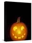 Jack-O-Lantern, Halloween, Washington, USA-null-Stretched Canvas