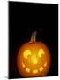 Jack-O-Lantern, Halloween, Washington, USA-null-Mounted Photographic Print