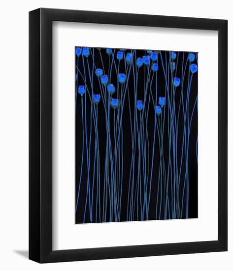 Jack Poppies Moondance-null-Framed Art Print