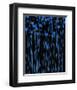 Jack Poppies Moondance-null-Framed Art Print