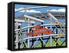 Jack Rabbit Roller Coaster-Ron Magnes-Framed Stretched Canvas