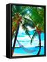 Canvas Black
