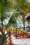 Key West-Jack Reed-Framed Photographic Print