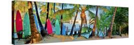 Stretched Canvas