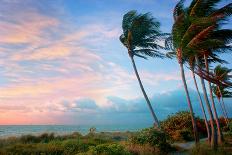 Key West-Jack Reed-Laminated Photographic Print