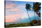 Stretched Canvas