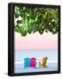 Essential Black