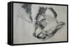 Jack Russel, 2015-Lou Gibbs-Framed Stretched Canvas