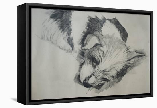 Jack Russel, 2015-Lou Gibbs-Framed Stretched Canvas