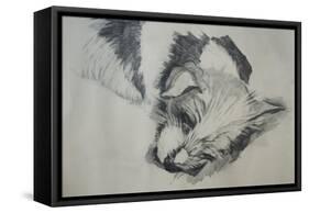 Jack Russel, 2015-Lou Gibbs-Framed Stretched Canvas