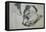 Jack Russel, 2015-Lou Gibbs-Framed Stretched Canvas