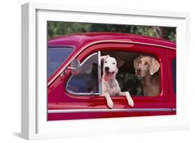 Jack Russel and Weimaraner Sitting in a Car-DLILLC-Framed Photographic Print