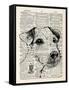 Jack Russel-Tina Carlson-Framed Stretched Canvas