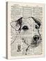 Jack Russel-Tina Carlson-Stretched Canvas