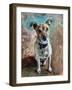 Jack Russell 2020 (oil)-Tilly Willis-Framed Giclee Print