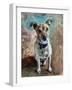 Jack Russell 2020 (oil)-Tilly Willis-Framed Giclee Print