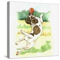 Jack Russell Dog-Wendy Edelson-Stretched Canvas