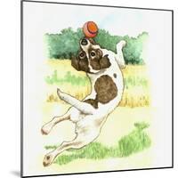 Jack Russell Dog-Wendy Edelson-Mounted Giclee Print