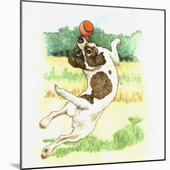 Jack Russell Dog-Wendy Edelson-Mounted Giclee Print
