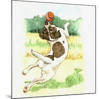 Jack Russell Dog-Wendy Edelson-Mounted Giclee Print