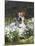 Jack Russell in Snowdrops-null-Mounted Photographic Print