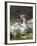 Jack Russell in Snowdrops-null-Framed Photographic Print