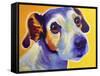 Jack Russell - Mudgee-Dawgart-Framed Stretched Canvas