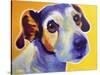 Jack Russell - Mudgee-Dawgart-Stretched Canvas