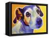 Jack Russell - Mudgee-Dawgart-Framed Stretched Canvas