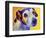 Jack Russell - Mudgee-Dawgart-Framed Premium Giclee Print