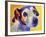 Jack Russell - Mudgee-Dawgart-Framed Giclee Print