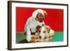 Jack Russell Puppies in Basket-null-Framed Art Print