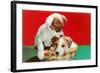 Jack Russell Puppies in Basket-null-Framed Art Print