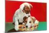 Jack Russell Puppies in Basket-null-Mounted Art Print