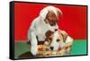 Jack Russell Puppies in Basket-null-Framed Stretched Canvas