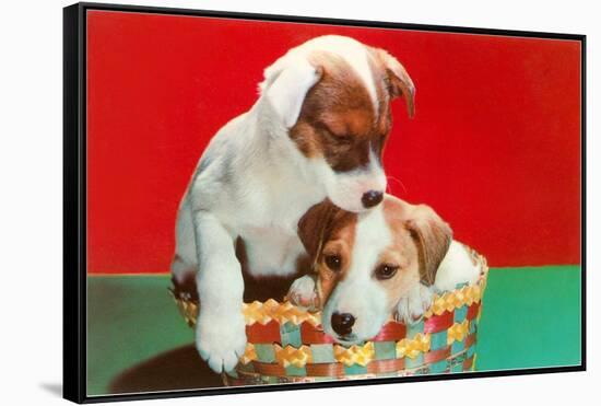 Jack Russell Puppies in Basket-null-Framed Stretched Canvas