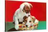 Jack Russell Puppies in Basket-null-Stretched Canvas